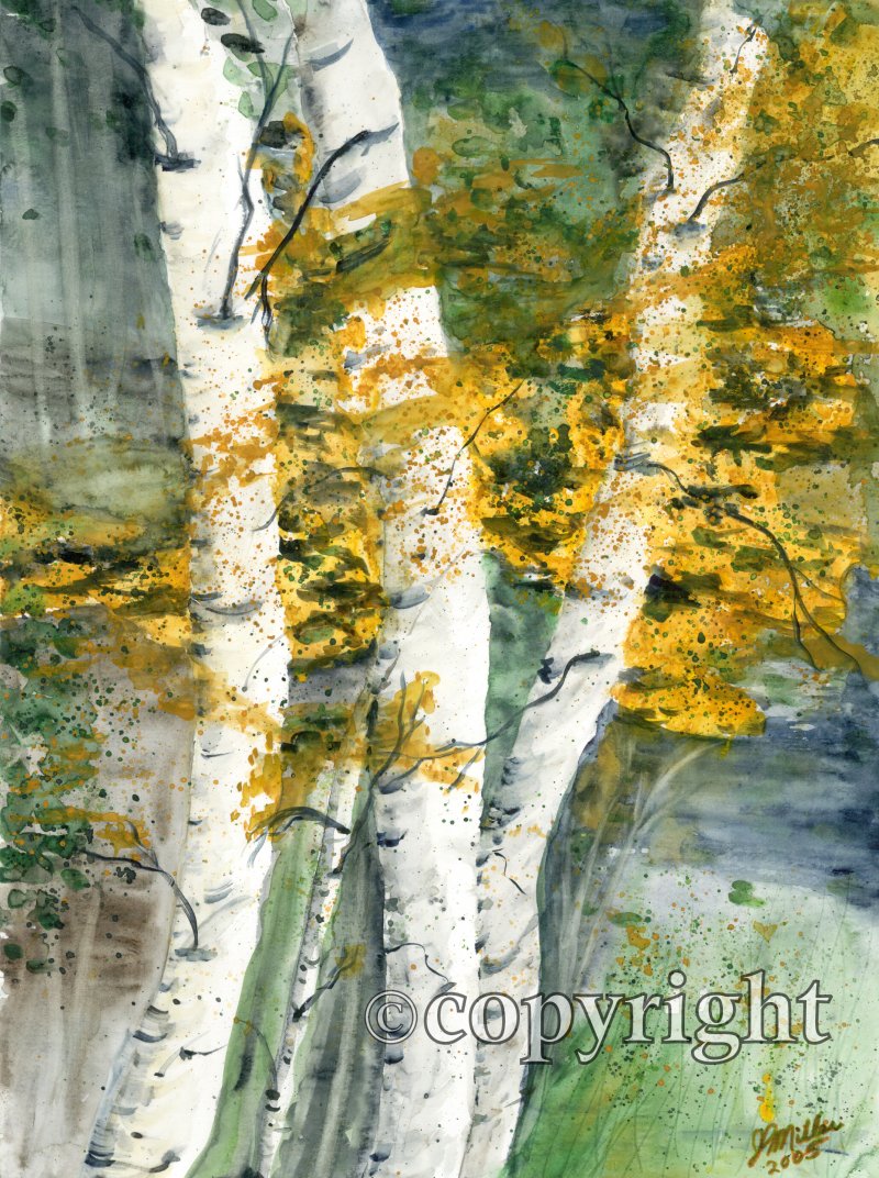 Autumn Birches Autumn Birches
